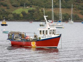 0421-schottland-08