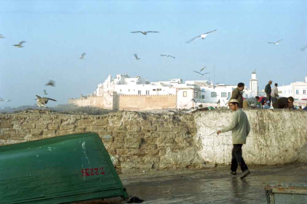 Stadtmauer von Essouria in Marokko